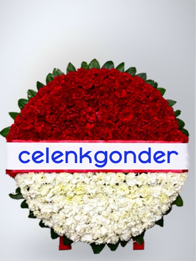 Mozole �elenk