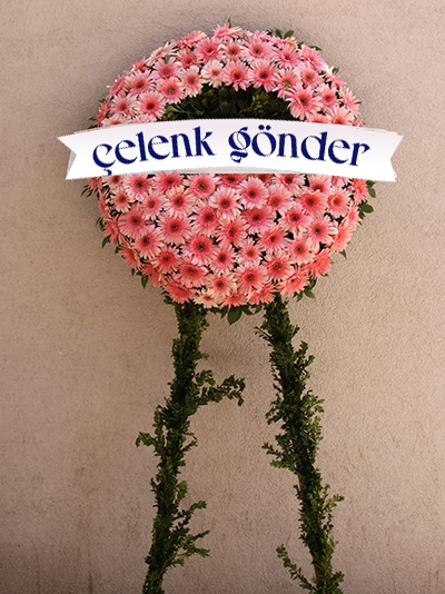 CENAZE �ELENK